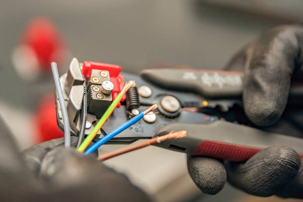 Best Industrial Electrical Services  in Frankenmuth, MI