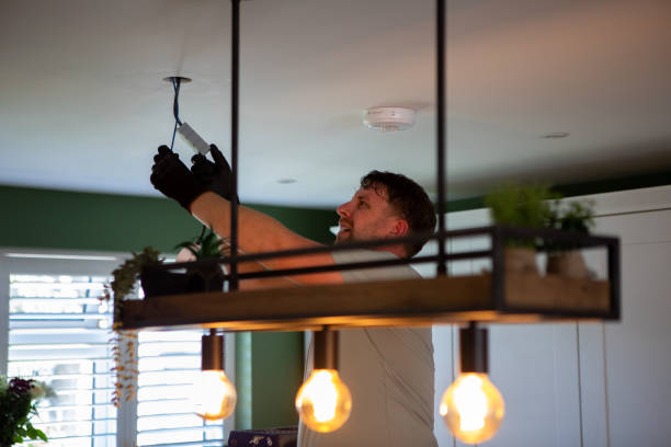 Best Electrical Upgrades for Homes  in Frankenmuth, MI