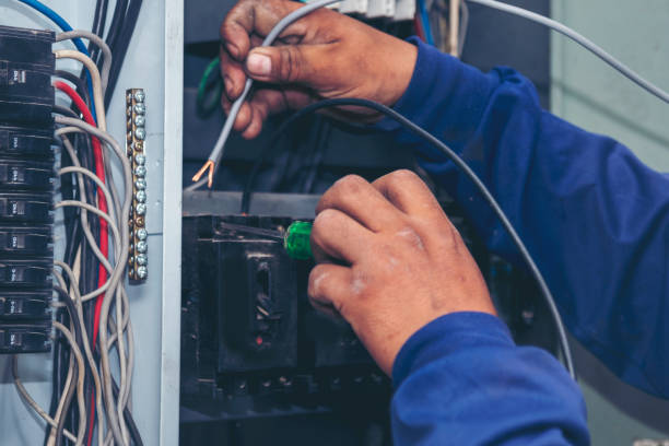 Best Affordable Electrical Installation  in Frankenmuth, MI