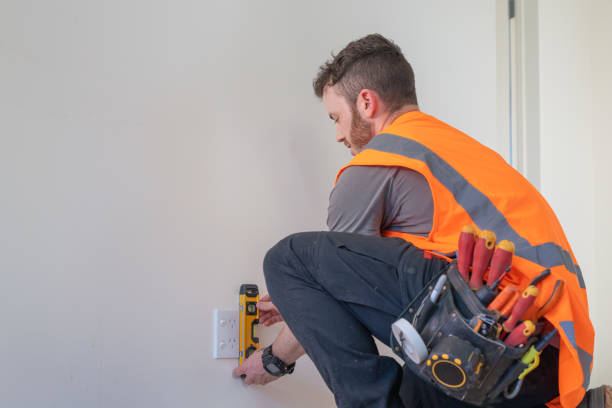 Best 24-Hour Electrician  in Frankenmuth, MI